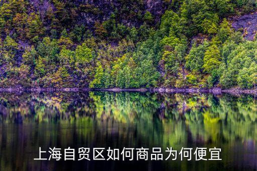 上海自貿(mào)區(qū)買什么便宜，上海購物什么商品比較便宜