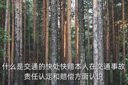 車險(xiǎn)快賠是什么，汽車快賠是什么意思