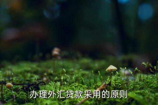 貸款三查指什么，銀行貸款三查不嚴(yán)能使貸款合同無效嗎