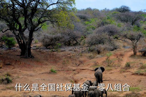 什么是全國社?；鹨涣惆私M合