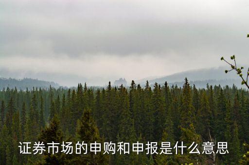 金融行業(yè)中的逐日申報(bào)是什么意思，外貿(mào)中到到銀行申報(bào)是什么意思申報(bào)什么呢哪位高人指點(diǎn)一下謝