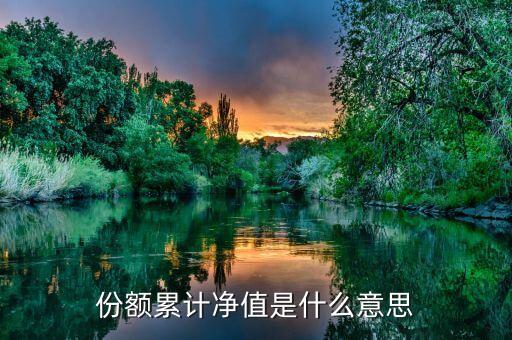 份額凈值是什么意思，基金份額凈值的基本定義