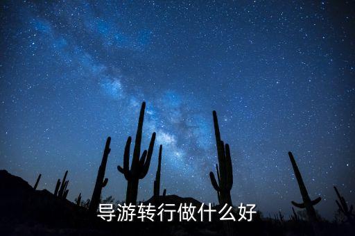 導(dǎo)游轉(zhuǎn)行做什么好，導(dǎo)游轉(zhuǎn)行做什么好