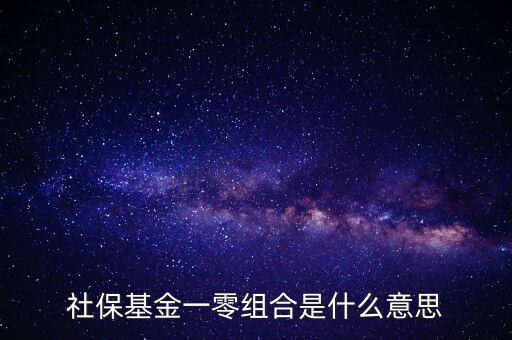 社?；鸶鞣N組合什么意思，什么是全國社保基金一零八組合