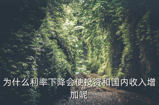 為什么利率下降會使投資和國內收入增加呢