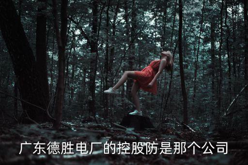 廣東德勝電廠(chǎng)的控股防是那個(gè)公司