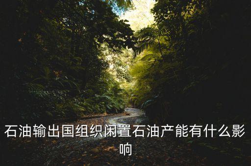 石油私有化后果是什么，大家覺得石油私有化有可能么