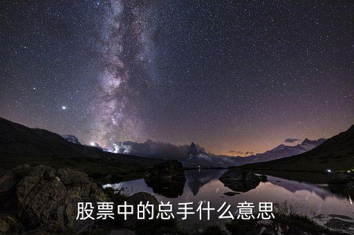 個(gè)股總手是什么意思，股票中的總手什么意思