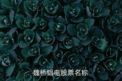 宏橋跟魏橋什么關(guān)系，宏橋中學(xué)怎么退學(xué)費(fèi)