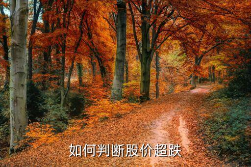 超跌反彈波段看什么線，現(xiàn)在股票是否反彈應(yīng)該關(guān)注那線股票好呢