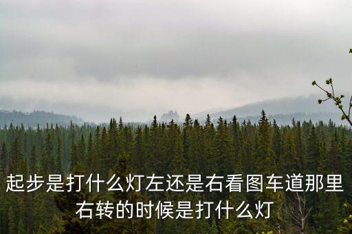 駕駛打右燈和左燈什么意思啊，起步是打什么燈左還是右看圖車道那里右轉(zhuǎn)的時(shí)候是打什么燈