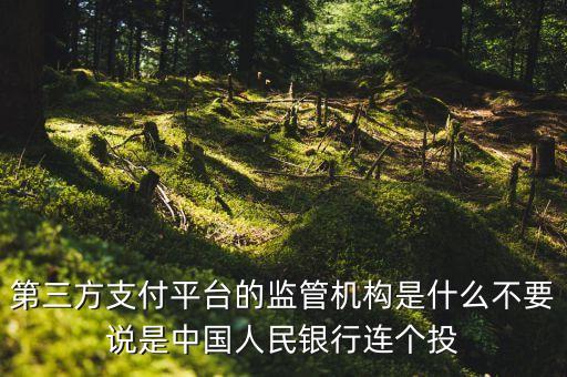 第三方支付平臺由什么機(jī)構(gòu)授權(quán)，第三方支付平臺的監(jiān)管機(jī)構(gòu)是什么不要說是中國人民銀行連個投