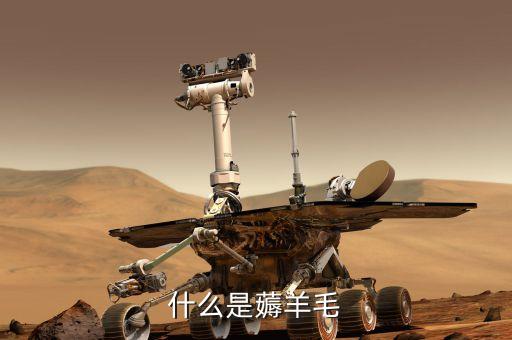 薅羊毛是什么意思，什么是 擼羊毛