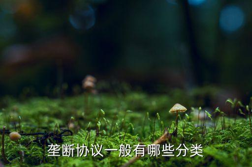 什么是縱向壟斷協(xié)議，壟斷協(xié)議一般有哪些分類
