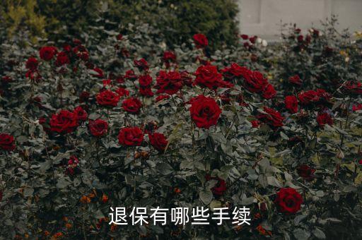 保險(xiǎn)退保需要什么手續(xù)，如何辦理退保手續(xù)