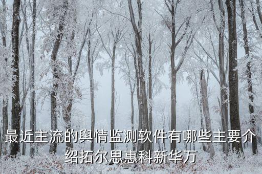 拓爾思和天璣科技主要做什么，天璣股票計劃是哪個公司推出的是做什么的