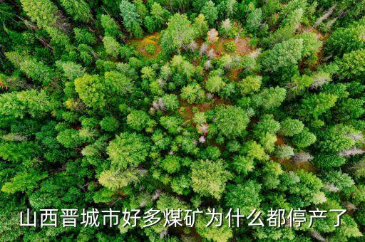 為什么礦山現(xiàn)在停產(chǎn)，為什么現(xiàn)在的礦業(yè)幾乎全部停產(chǎn)