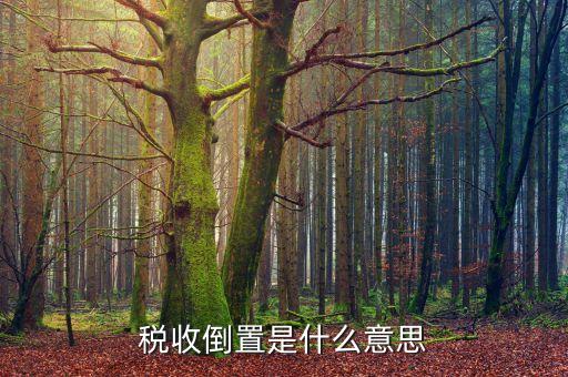 稅負倒置是什么意思，稅收倒置是什么意思