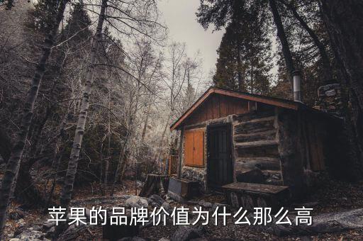 蘋果市值為什么那么高，蘋果的品牌價(jià)值為什么那么高
