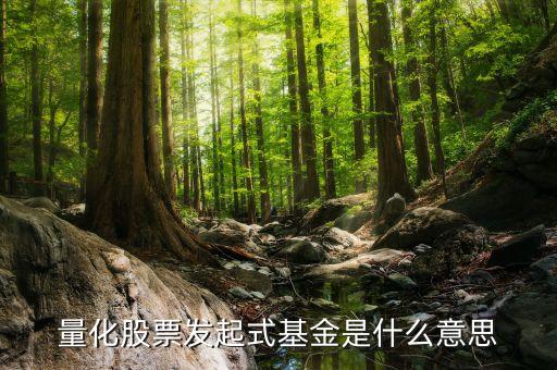 股票量化是什么意思，股份量化是什么意思