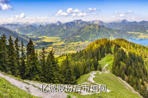 億城投資為什么停盤，000616億城股份能買嗎 他的k線說明什么 怎么前天的 單獨(dú)出去一根