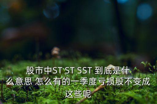 st銀山是什么公司，數(shù)量單位用st表示是什么意思