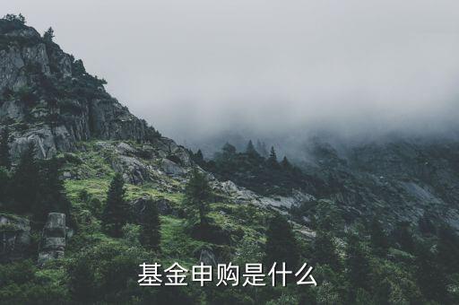 基金申購什么意思，基金支取基金申購什么意思