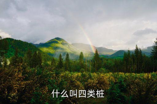 什么叫四類(lèi)樁