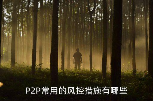 cppi的風(fēng)控措施是什么，p2p如何風(fēng)控P2P公司都用什么風(fēng)控系統(tǒng)
