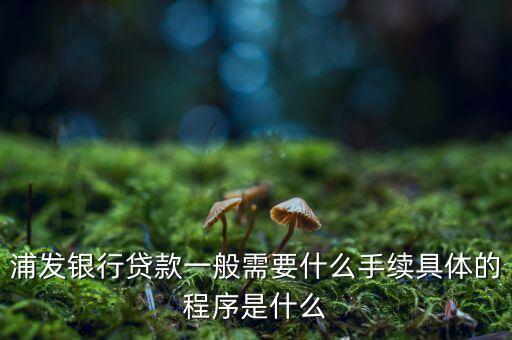 浦發(fā)銀行網(wǎng)貸通要什么條件，TB支持浦發(fā)  浦發(fā)開通網(wǎng)銀要什么條件比如要帶點(diǎn)什么的