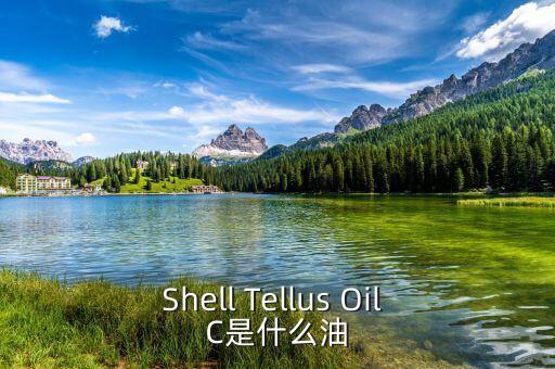 權(quán)益油是什么，Shell Tellus Oil C是什么油