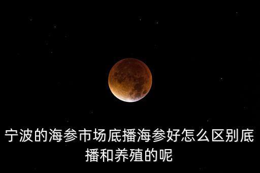 什么是底播海參，底播海參和非底播海參有什么區(qū)別