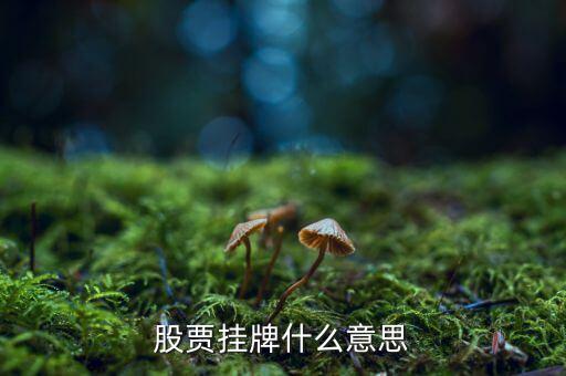 股票掛牌是什么意思，股市里的掛牌是什么意思舉牌和摘牌又是什么意思
