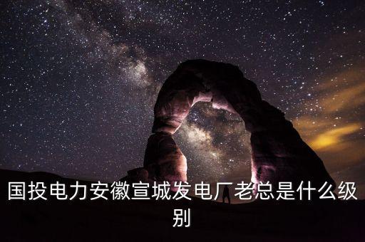 國電投什么級別，中國國電集團(tuán)是什么級別