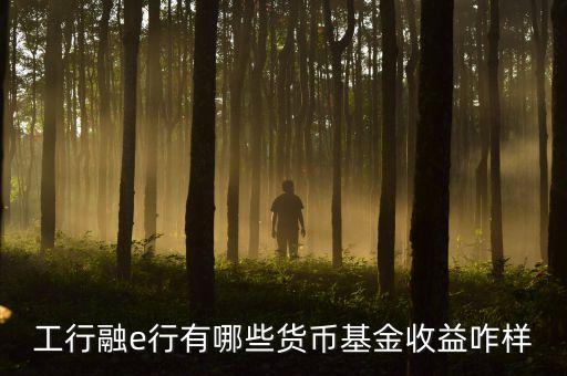 工行網(wǎng)銀有什么貨幣基金，工行融e行有哪些貨幣基金收益咋樣