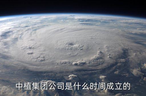 中植集團(tuán)公司是什么時間成立的