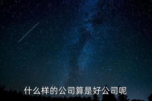 什么樣的公司是比較好的，有什么樣的公司是比較好的
