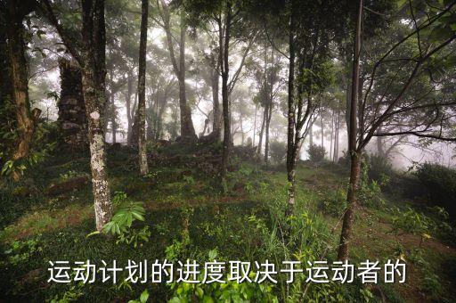 進(jìn)度安排的靈活性是什么決定，運動計劃的進(jìn)度取決于運動者的
