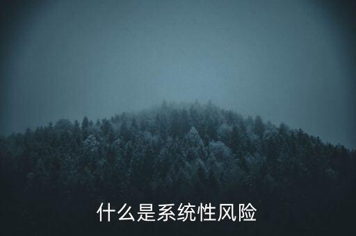 什么是系統(tǒng)性區(qū)域性風(fēng)險(xiǎn)，什么是系統(tǒng)性風(fēng)險(xiǎn)與區(qū)域性風(fēng)險(xiǎn)