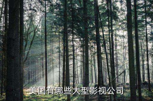 波士頓有什么大公司，美國(guó)有哪些大型影視公司