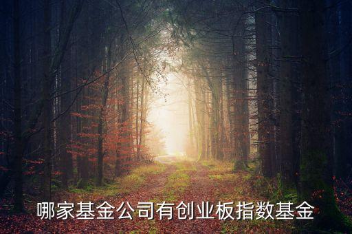 什么是中創(chuàng)400指數(shù)，基金里頭講到的 中創(chuàng)400 和 中小板300 有什么區(qū)別前者