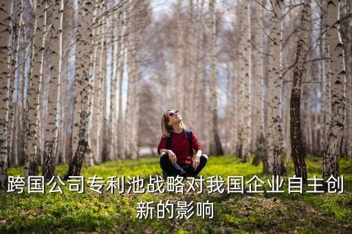 北京君正是什么公司，跨國(guó)公司專(zhuān)利池戰(zhàn)略對(duì)我國(guó)企業(yè)自主創(chuàng)新的影響