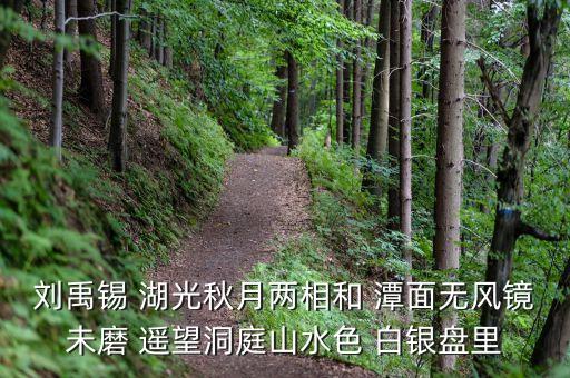 君山股份是做什么，劉禹錫 湖光秋月兩相和 潭面無風(fēng)鏡未磨 遙望洞庭山水色 白銀盤里