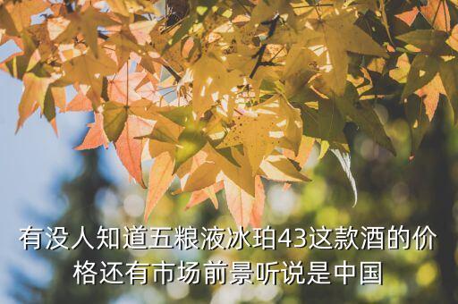 有沒人知道五糧液冰珀43這款酒的價(jià)格還有市場(chǎng)前景聽說是中國