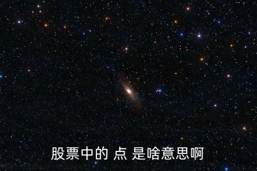 股票的點是什么意思，股票中的 點 是啥意思啊
