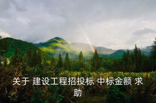 中標(biāo)金額是什么，關(guān)于 建設(shè)工程招投標(biāo) 中標(biāo)金額 求助