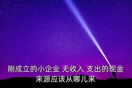 小企業(yè)主為什么沒現(xiàn)金，剛成立的小企業(yè) 無收入 支出的現(xiàn)金來源應(yīng)該從哪兒來