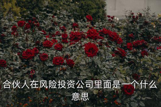 vc合伙人是什么，風(fēng)險(xiǎn)投資公司中的合伙人和經(jīng)理人都是什么意思