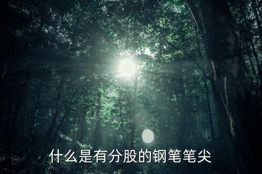 鋼筆頭分股是什么樣的，什么是有分股的鋼筆筆尖