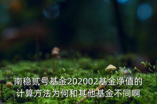 南穩(wěn)二號為什么要分紅，南穩(wěn)貳號基金202002基金凈值的計算方法為何和其他基金不同啊